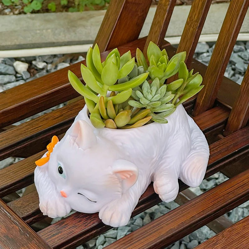 Cute Cat Succulent Planter