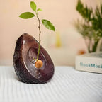 Avocado Seed Starter Vase