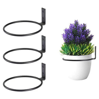 Wall-Mounted Plant Pot Holder Ring