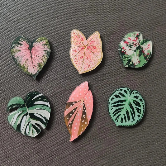Tropical Leaf Fridge Magnets