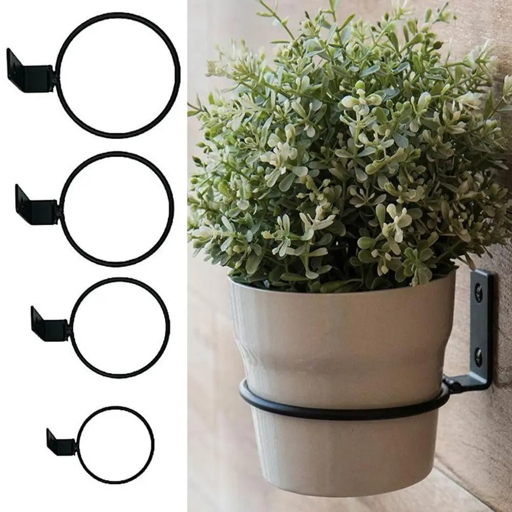 Wall-Mounted Plant Pot Holder Ring