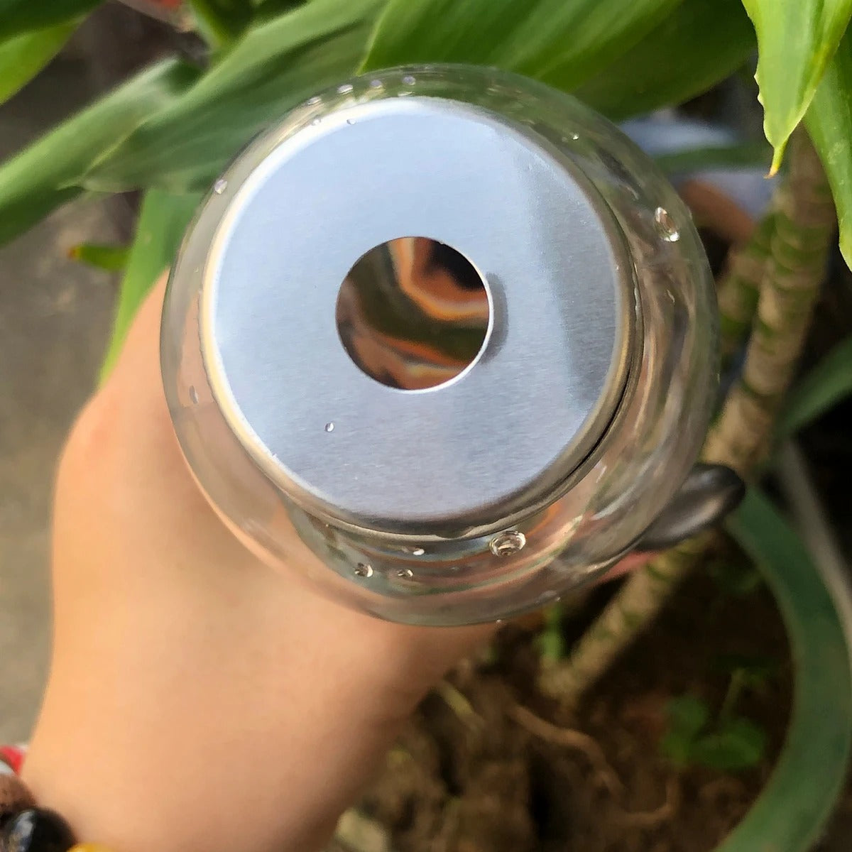 RootFlow™ Plant Self-Watering Spike Bottle