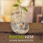 Avocado Seed Starter Vase