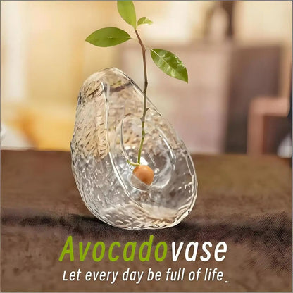 Avocado Seed Starter Vase