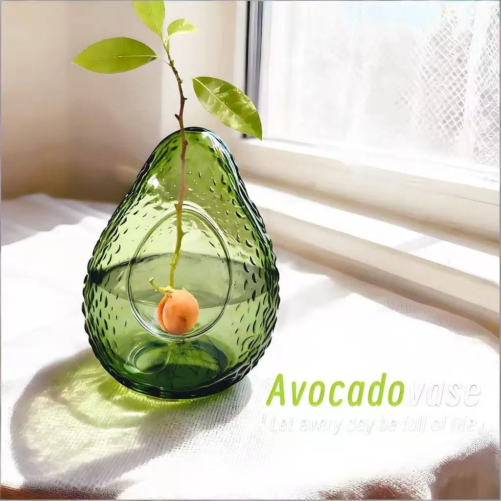 Avocado Seed Starter Vase