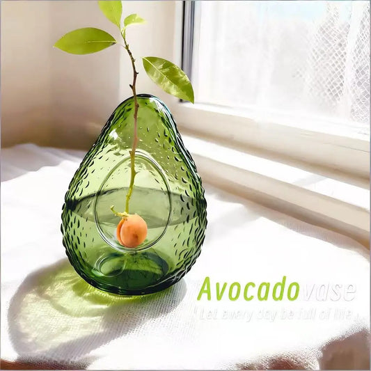 Avocado Seed Starter Vase