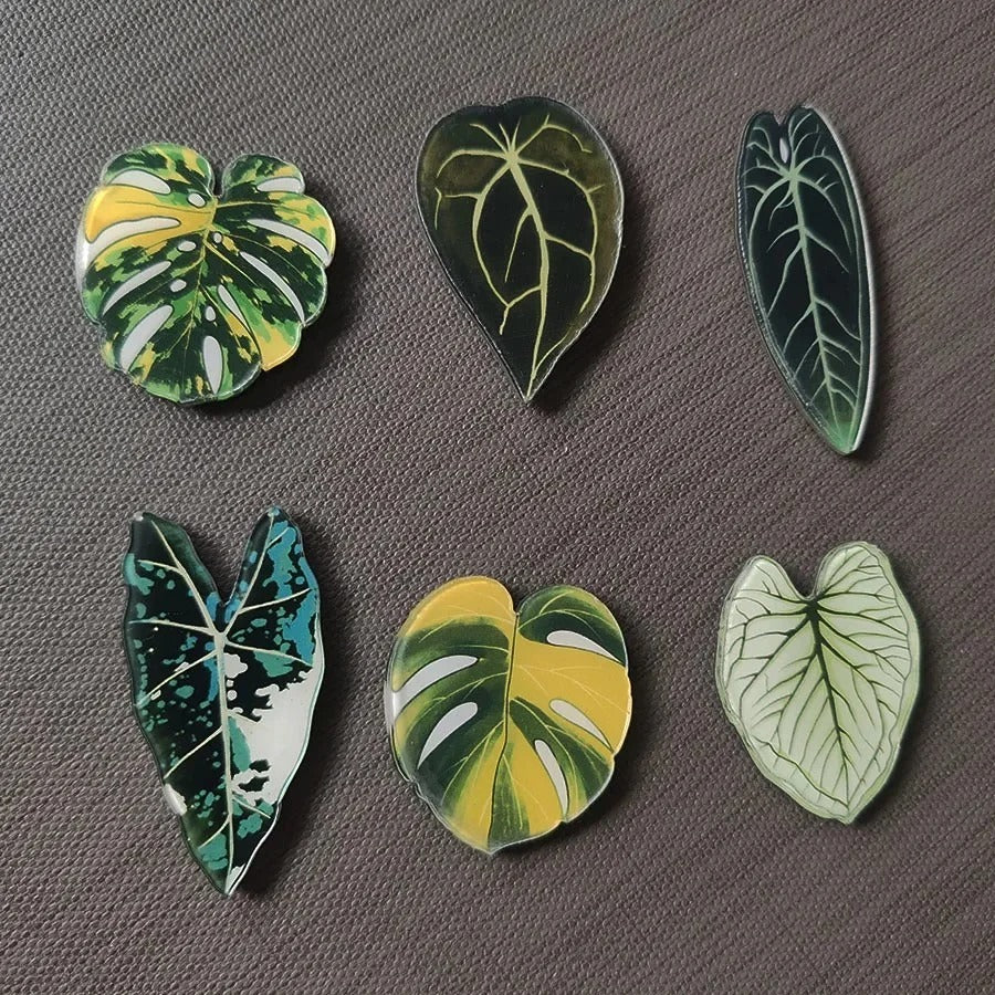 Tropical Leaf Fridge Magnets
