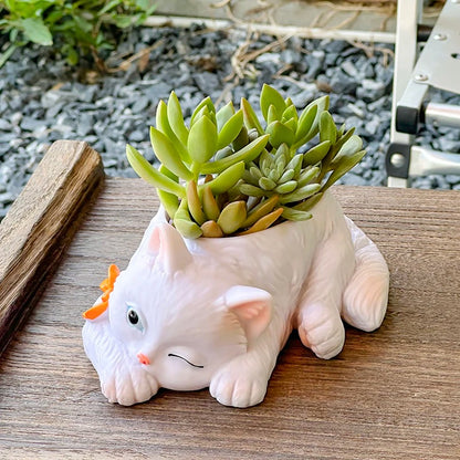 Cute Cat Succulent Planter