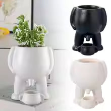 Mr. Tinkle Planter