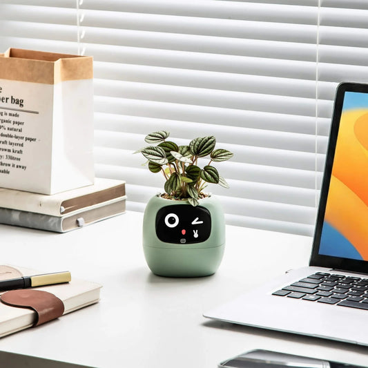 Ivy Gen 2 — Smart Plant Pet