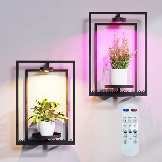 Plant Frame with Built-In Grow Light