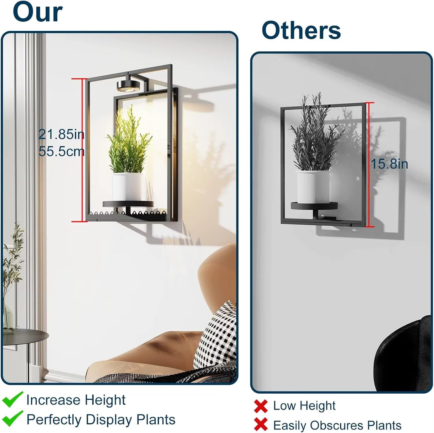 Plant Frame with Built-In Grow Light