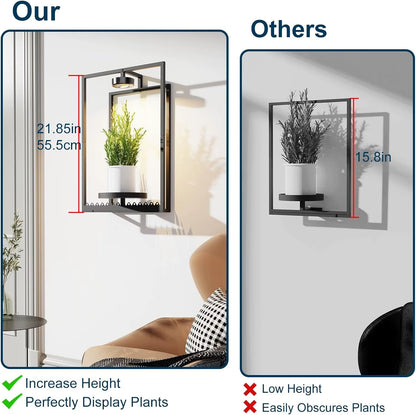 Plant Frame with Built-In Grow Light