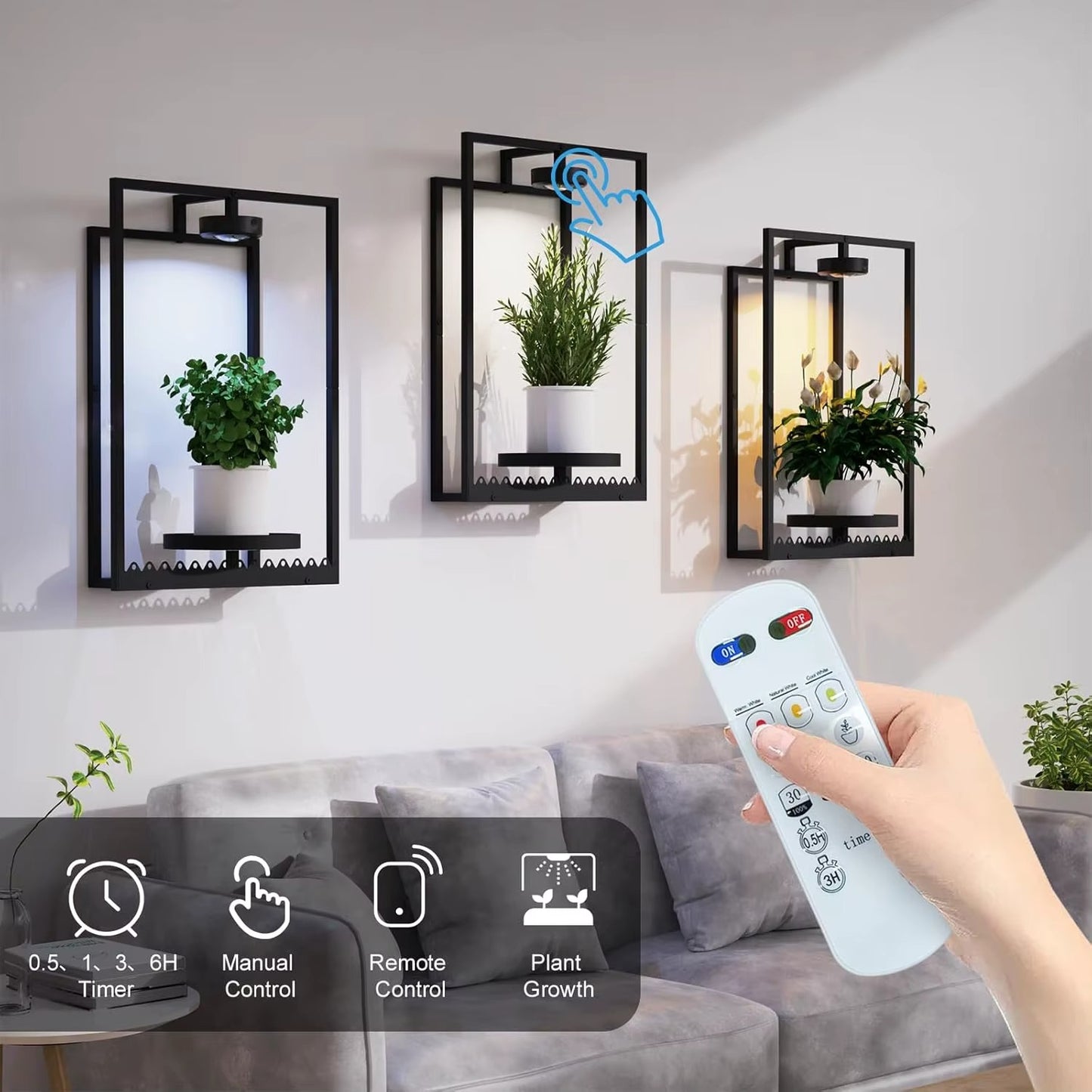 Plant Frame with Built-In Grow Light