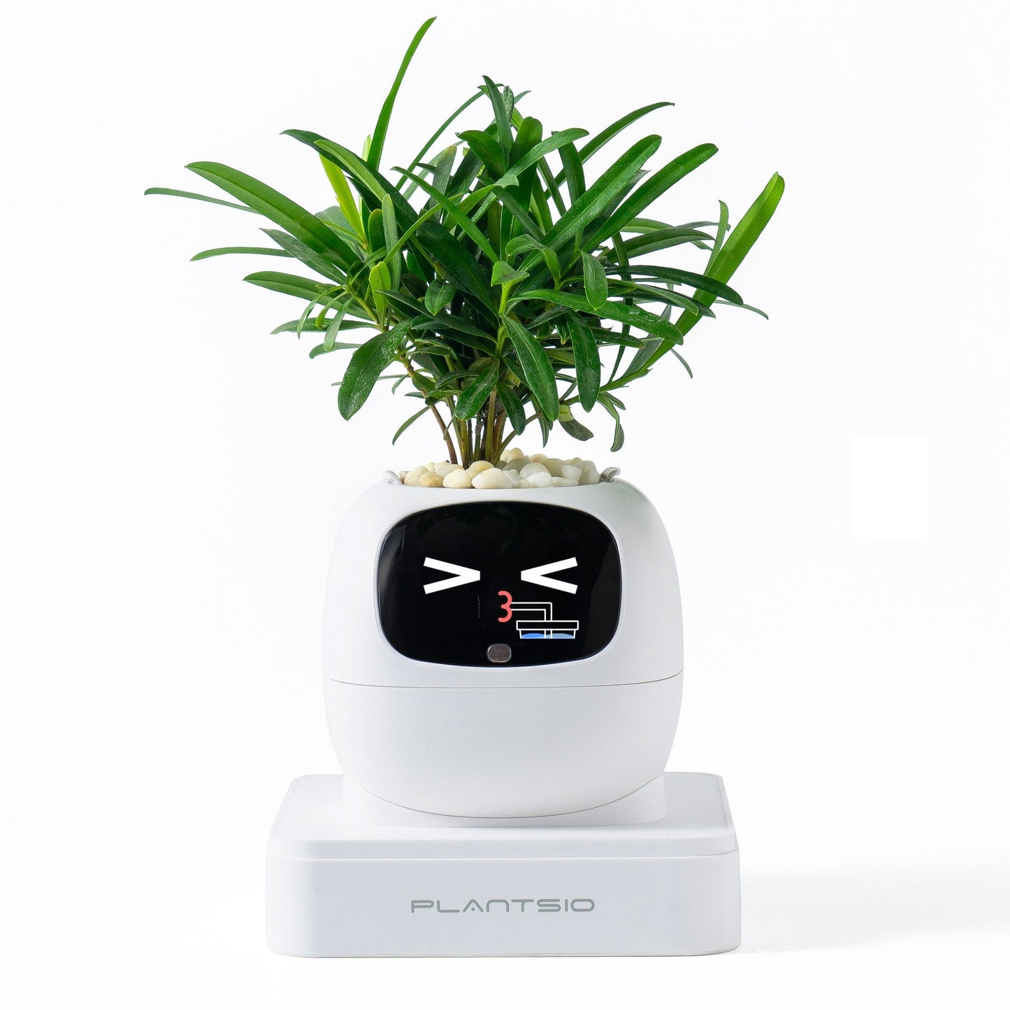 Ivy Gen 2 — Smart Plant Pet