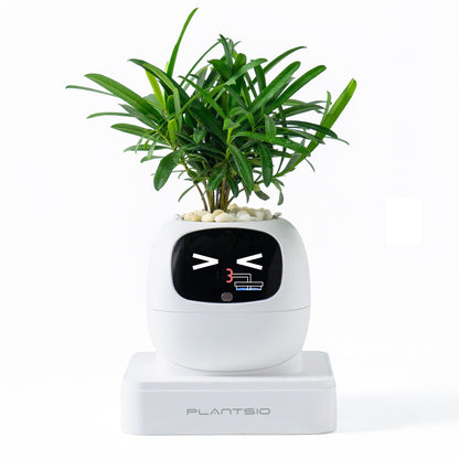 Ivy Gen 2 — Smart Plant Pet