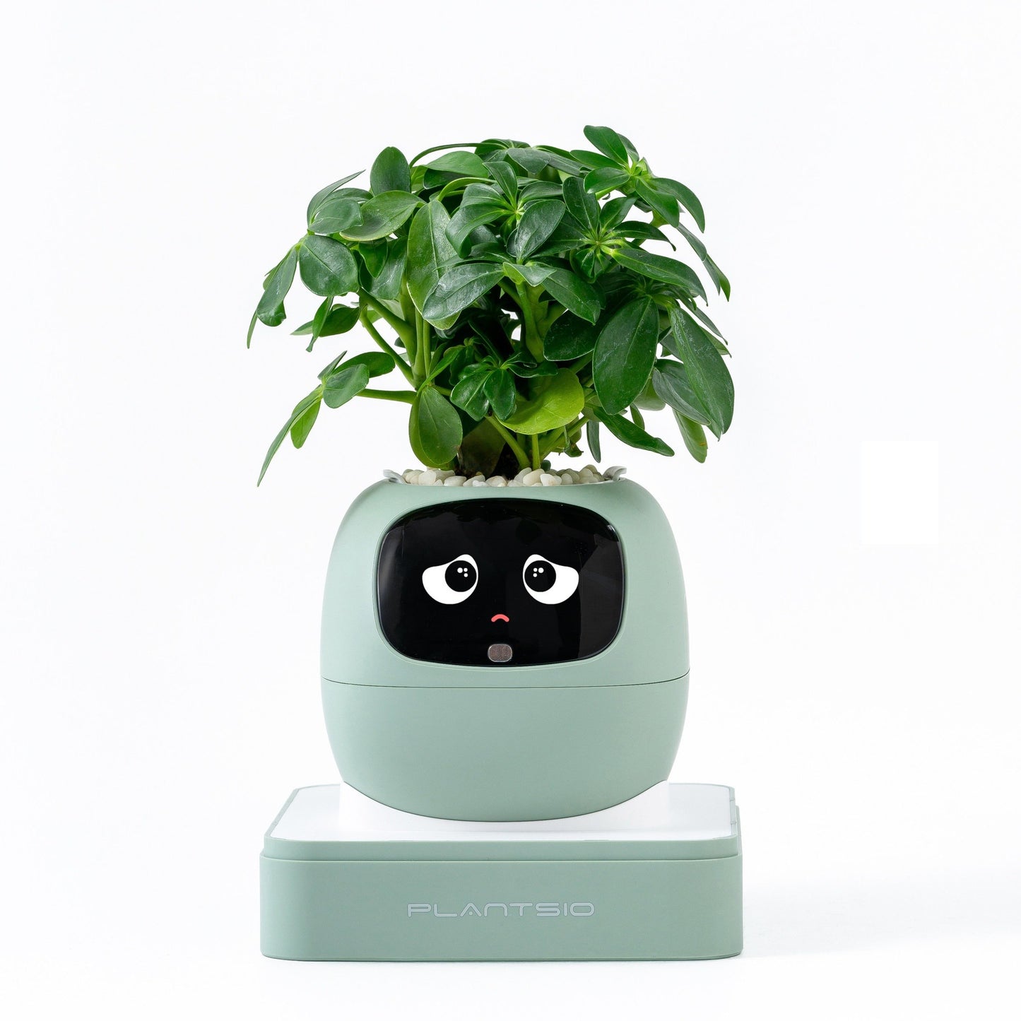 Ivy Gen 2 — Smart Plant Pet