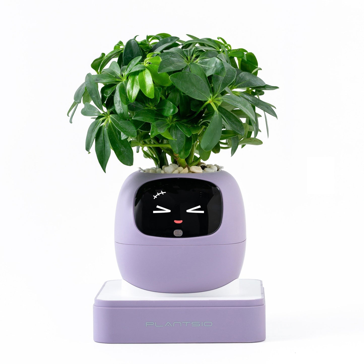 Ivy Gen 2 — Smart Plant Pet