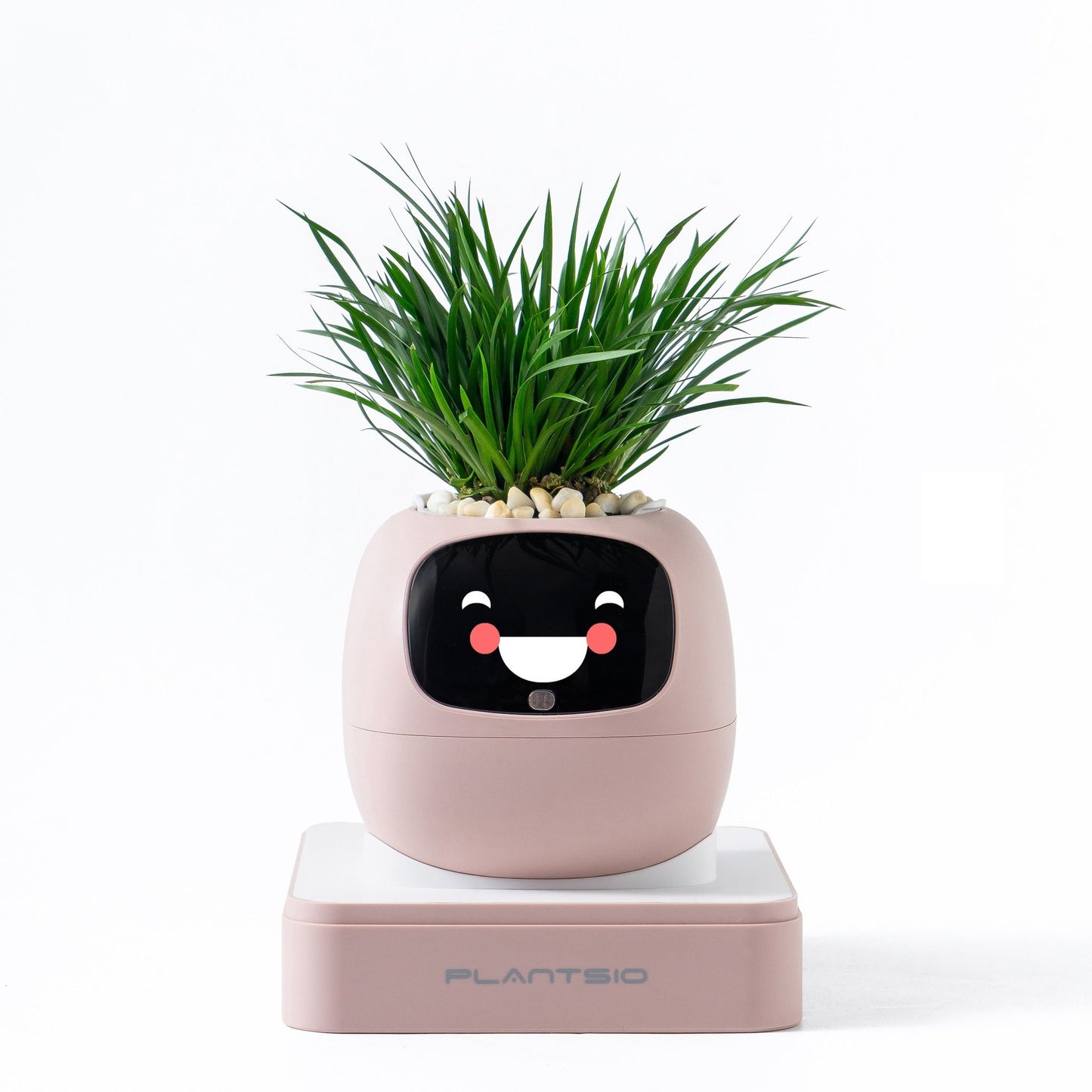 Ivy Gen 2 — Smart Plant Pet