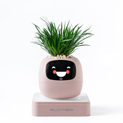 Ivy Gen 2 — Smart Plant Pet
