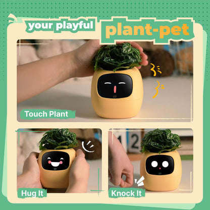 Ivy Gen 2 — Smart Plant Pet